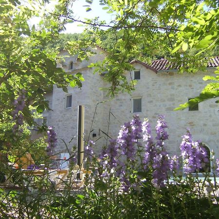 Le Moulin De Gauty Bed and Breakfast Saint-Jean-et-Saint-Paul Buitenkant foto